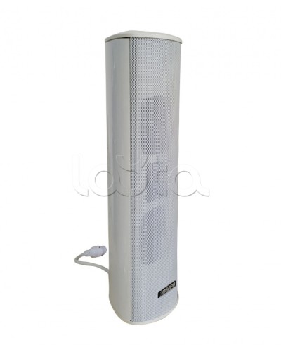 Громкоговоритель DSPPA POE-255 в Ногинске Система оповещения и трансляции Dsppa Pintop.ru