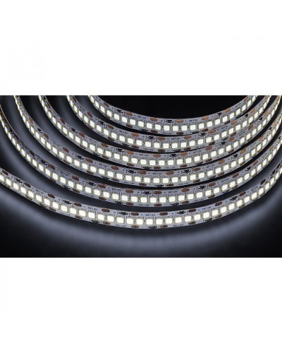 Лента светодиодная Navigator 14 459 NLS-2835CW240-24-IP20-12V в Ногинске Источники света(Лампы) Pintop.ru