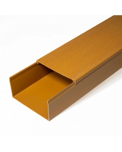 Кабель-канал бук 2-й замок в п/э 80х60 (8 м/уп) Промрукав (PR03.0205) в Ногинске Огнестойкие кабельные линии Pintop.ru