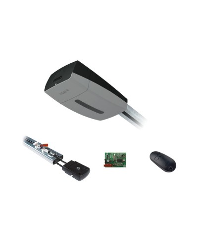 Came V10DMS3.25 KIT (до 3,25 м до 18 м2) - Комплект автоматики для секционных ворот высотой до 2,7 м на основе привода VER10DMS в Ногинске Автоматизация ворот Pintop.ru