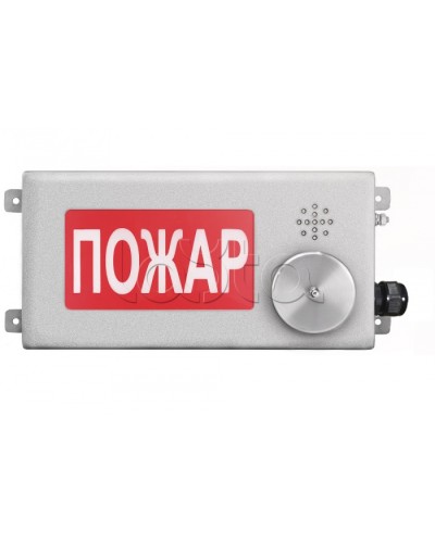 Табло светозвуковое взрывозащищенное Спектрон ТСЗВ-Exm-Н-Прометей-МИНИ 12-36В в Ногинске Оповещатели Ex Pintop.ru