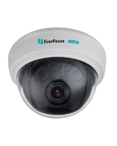 AHD-камера видеонаблюдения купольная EverFocus ED-910F в Ногинске Аналоговые камеры Pintop.ru