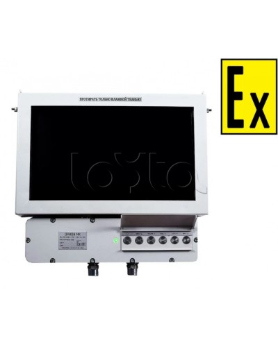Монитор взрывозащищенный Компания СМД Орион МК М 19-С в Ногинске Дополнительное оборудование (Ex) Pintop.ru