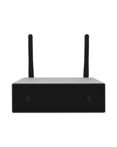 Усилитель потоковой передачи WIFI DSPPA DW-0250 в Ногинске Система оповещения и трансляции Dsppa Pintop.ru