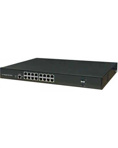 Коммутатор NSGate DAS-2G16GP (47P6018G) в Ногинске Коммутаторы Pintop.ru