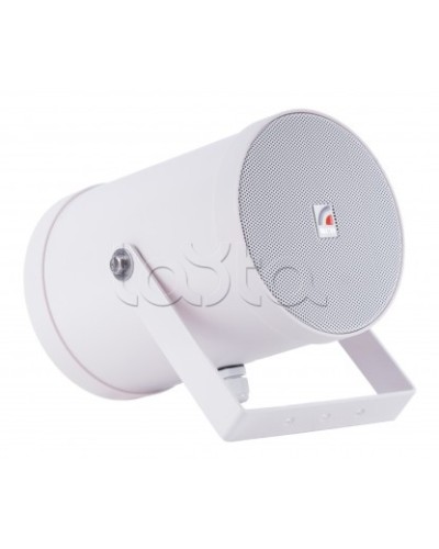 Двунаправленный Прожектор звуковой ROXTON SW-10T2 в Ногинске Система оповещения и трансляции Roxton Pintop.ru