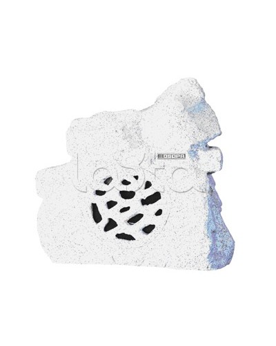Громкоговоритель ландшафтный всепогодный DSPPA DSP-640 в Ногинске Система оповещения и трансляции Dsppa Pintop.ru
