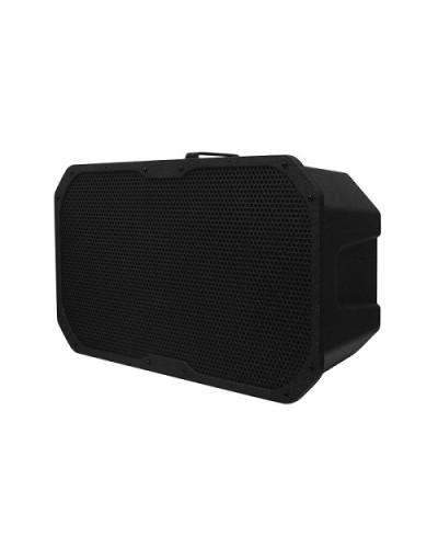 Акустическое устройство DSPPA LRAS-1830 в Ногинске Система оповещения и трансляции Dsppa Pintop.ru