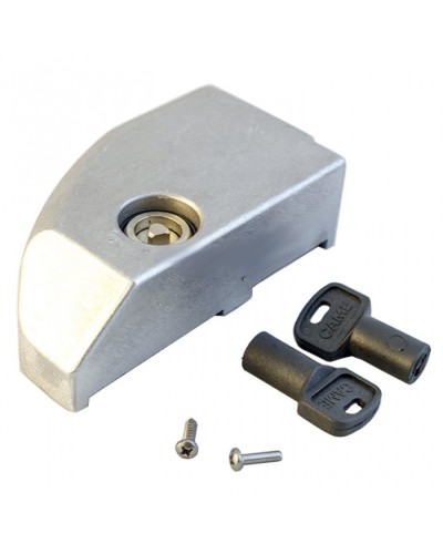 Дверца замка разблокировки BK Came 119RIBK012 в Ногинске Запчасти для шлагбаумов и автоматики Pintop.ru