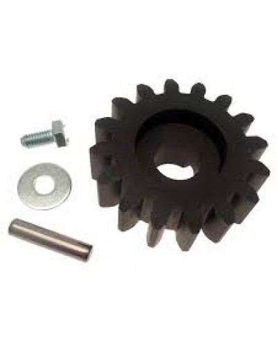 Шестерня для цепной передачи Came 119RIBK036 в Ногинске Запчасти для шлагбаумов и автоматики Pintop.ru