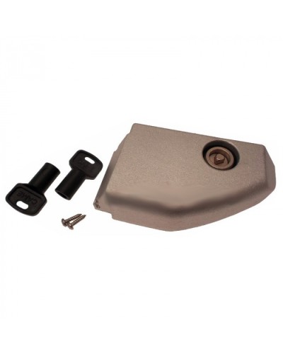 Дверца разблокировки с замком BX Came 119RIBX008 в Ногинске Запчасти для шлагбаумов и автоматики Pintop.ru