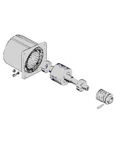 Электродвигатель С-100 Came 119RIC052 в Ногинске Запчасти для шлагбаумов и автоматики Pintop.ru
