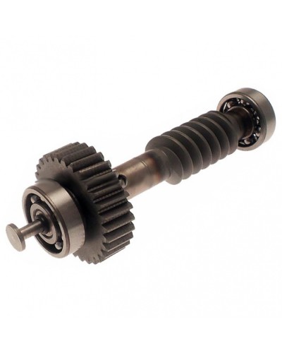 Червяк редуктора FAST в сборе Came 119RID228 в Ногинске Запчасти для шлагбаумов и автоматики Pintop.ru