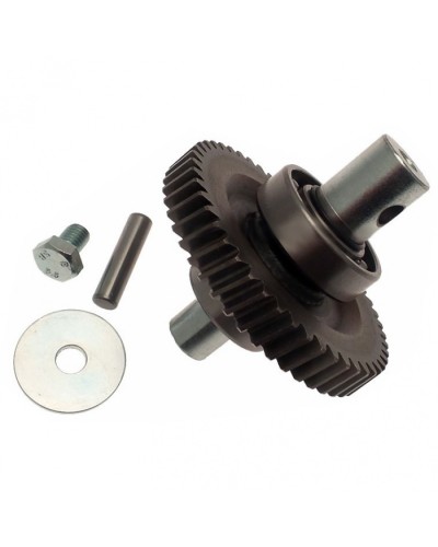 Шестерня редуктора FAST в сборе Came 119RID229 в Ногинске Запчасти для шлагбаумов и автоматики Pintop.ru