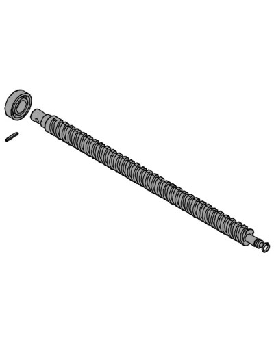 Винт ходовой AX302304, AX3024, АХ402306, AX412306 Came 119RID319 в Ногинске Запчасти для шлагбаумов и автоматики Pintop.ru