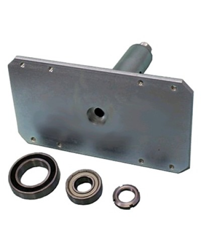 Электромагнит с механизмом разблокировки Came 119RIH022 в Ногинске Запчасти для шлагбаумов и автоматики Pintop.ru