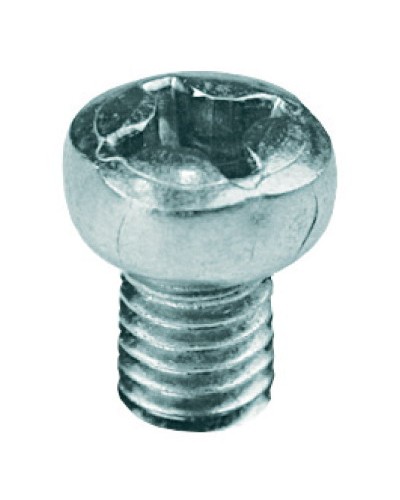 Винт с полуцилиндрической головкой М6х10 DKC CM090610 в Ногинске Крепеж Pintop.ru