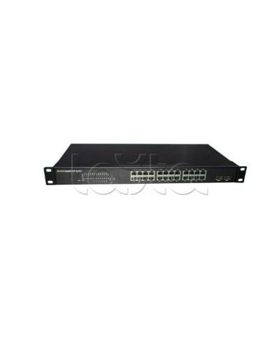 PoE-Коммутатор EverFocus ACE-224PG в Ногинске Коммутаторы Pintop.ru