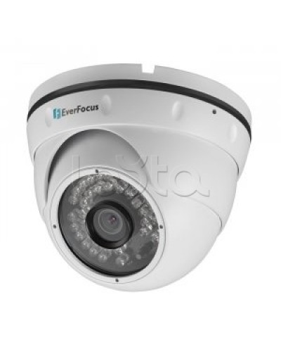 IP-камера видеонаблюдения купольная EverFocus ACE-IAV30 в Ногинске IP-камеры Pintop.ru