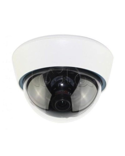 IP-камера видеонаблюдения купольная EverFocus ACE-IOV20A в Ногинске IP-камеры Pintop.ru