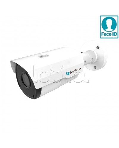 IP-камера видеонаблюдения в стандартном исполнении EverFocus EZN-2850 в Ногинске IP-камеры Pintop.ru