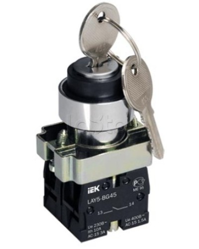 Переключатель LAY5-BG45 на 2 положения с ключом без фиксации IEK BSW80-BG-2-K02 в Ногинске Аксессуары для стоек и шкафов Pintop.ru