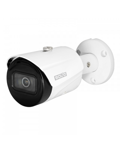 IP-камера видеонаблюдения в стандартном исполнении Болид VCI-122 в Ногинске IP-камеры Pintop.ru