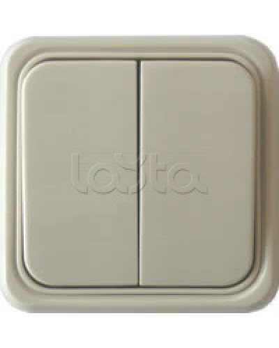 Выключатель двухклавишный открытой установки Экопласт, схема 5, (бежевый) в Ногинске Розетки компьютерные и телефонные Pintop.ru