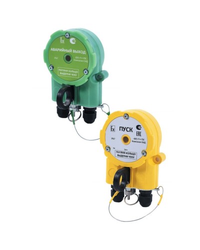 Извещатель Эрвист УДП 535 Халзан П АВАРИЙНЫЙ ВЫХОД -АМ в Ногинске Пожарные извещатели Pintop.ru