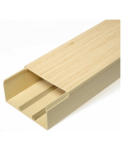 Кабель-канал сосна 2-й замок в п/э 100х60 (8 м/уп) Промрукав (PR03.0192) в Ногинске Кабель-канал Pintop.ru