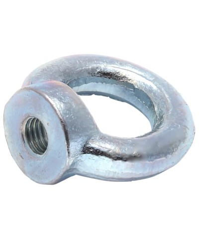 Рым-гайка М12 DIN 582 (20 шт/уп) Промрукав (PR08.3906) в Ногинске Крепеж Pintop.ru