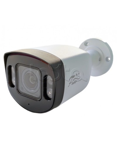 IP-камера видеонаблюдения в стандартном исполнении Fox FX-IPC-C40AP-IR H.265 AI в Ногинске IP-камеры Pintop.ru