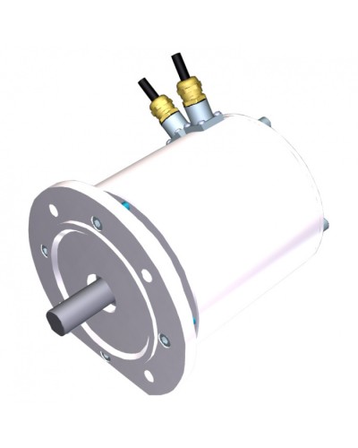 Электродвигатель FROG-MS Came 119RIA081 в Ногинске Запчасти для шлагбаумов и автоматики Pintop.ru
